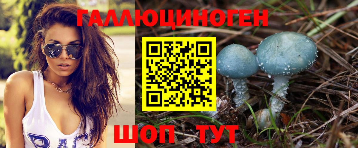 Ликино-Дулёво  Галлюциногенные грибы Psilocybine cubensis  Вход с VPN 